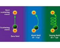 Scientists gain insight into origin of tungsten-ditelluride's magnetoresistance