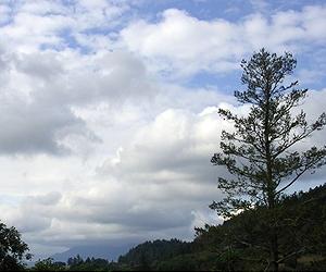 Scientist Maps The Meaning Of Mid-Level Clouds
