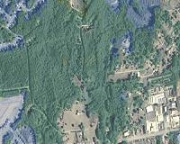 Landscape pattern analysis reveals global loss of interior forest