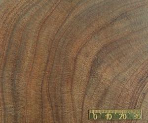 Reconstruction for the eastern Mediterranean temps based on tree rings