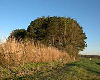 Trading farmland for nitrogen protection