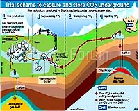 Energy Giant Total To Test Scheme To Store Carbon Emissions
