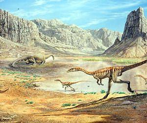 Terrestrial biodiversity recovered faster after Permo-Triassic extinction than previously believed
