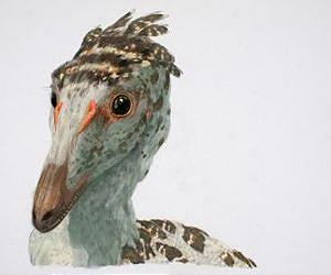 Were dinosaurs undergoing long-term decline before mass extinction?