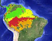 Should the international community protect the Amazon?