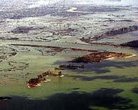 2004 Deadliest In Nearly 500 Years For Earthquakes