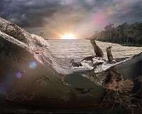 Tsunami Followed Dinosaur-Killing Asteroid Impact