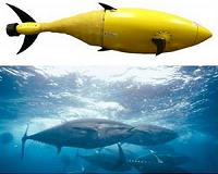 Russian Scientists Develop 'Underwater Wi-Fi' to Control Sea Robots