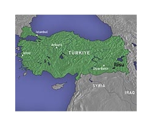 Turkey reserves right to invoke NATO ties: official