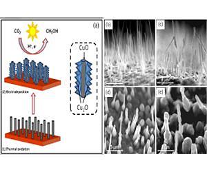 Turning carbon dioxide to fuel