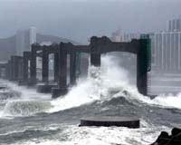 Seven Dead Or Missing As Typhoon Lashes South Korea
