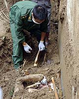 Death Toll From Typhoon Talim Soars To 102 In China