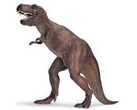 Miniature relative of T. rex identified by paleontologists in New Mexico