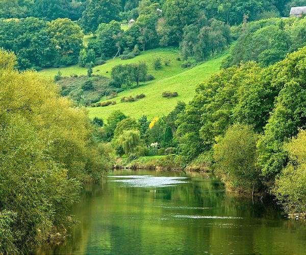 'Citizen scientists' battle to save historic UK river