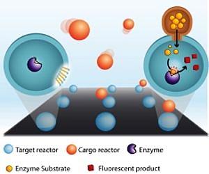 Nano-tech makes medicine greener