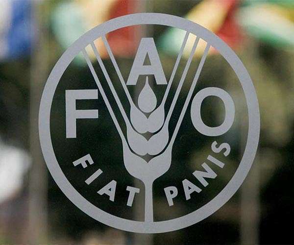 FAO says $160 million needed for El Nino plan