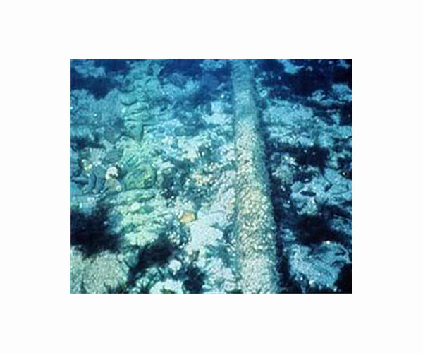 Volcano damage to Tonga undersea cable worse than expected