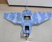 Two Koreas in heated exchange over drone row