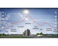 Cold wave reveals potential benefits of urban heat islands