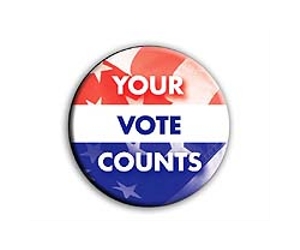 Questions linger in US on high-tech voting