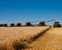 China importers seek to lift tariffs on US farm goods: state media