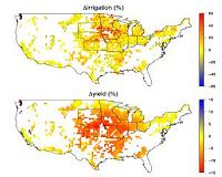 Corn crops increasingly vulnerable to hot, dry weather