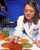 Edible Food Wrap Kills Deadly E. Coli Bacteria