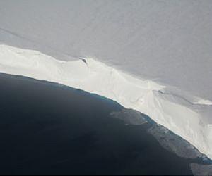 Glass sponges take advantage of retreating Antarctic ice shelves