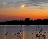 Week of excitement (meteors and moons) for sky-watchers