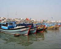 Vietnamese rally against Taiwan firm over mass fish deaths