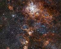 Hubble explores the formation and evolution of star clusters in the Large Magellanic Cloud