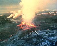 Mass Extinctions Outer Space Threat Or Our Own Planets Detox
