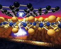 Course set to overcome mismatch between lab-designed nanomaterials and nature's complexity