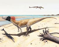 How did dinosaurs learn to fly? Hopping parrots offer clues