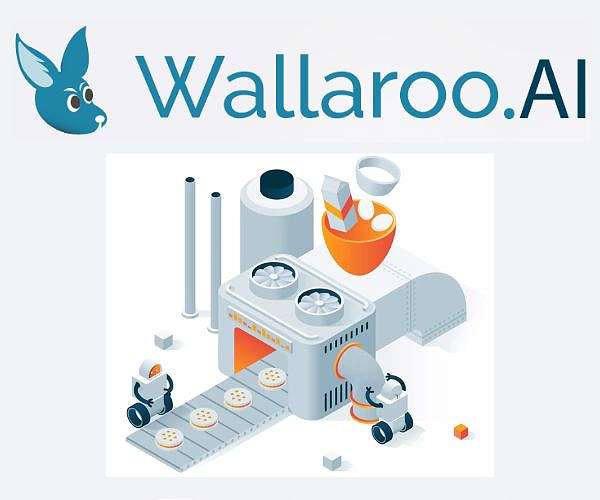 Air Force selects Wallaroo.AI for On-Orbit AI advancements
