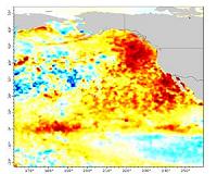 Acidified ocean water widespread along North American West Coast