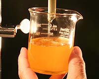 BIO Thanks Senators For Supporting Sound Scientific Review In Renewable Fuel Standard Rule