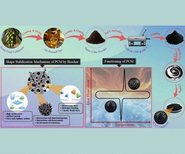 Neem seed biochar turns waste into thermal energy storage medium