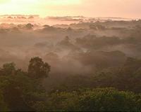 Astrosat shows RAPID advances in the jungles of Malaysia
