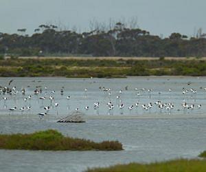 Trigger for past rapid sea level rise discovered