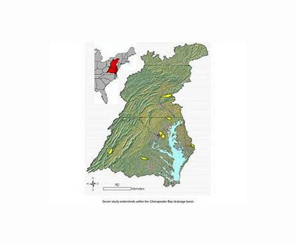Analysis: Sewage pipes are leaking pharmaceuticals into the Chesapeake Bay