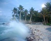 Paradise lost: 'Anote's Ark' shows Kiribati on the brink