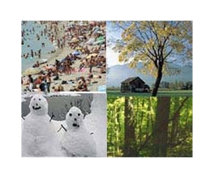 2012 marked by extreme weather, Arctic ice melt: UN