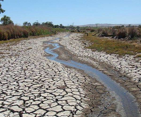 'Five years of fire': Romanian farms wilt in drought