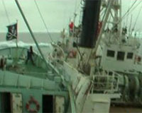 Japanese Whaling Ship In Clash With Eco-Activists