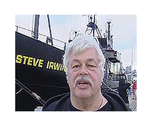 Huge waves damage anti-whaling boat