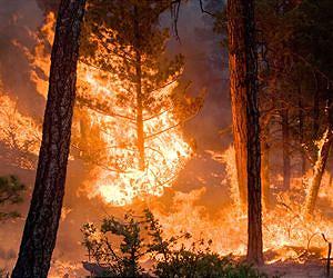 Climate Models Project Increase in U.S. Wildfire Risk