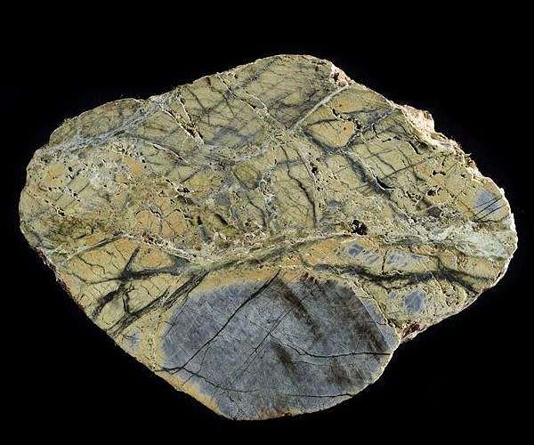 Ocean transform faults reveal unknown carbon cycle dynamics