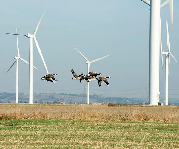 Sami activists protest illegal wind turbines in Norway