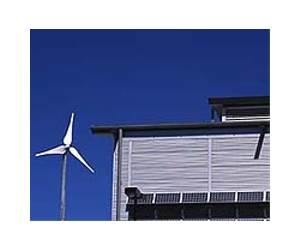 British engineers slam home wind turbines as 'eco-bling'